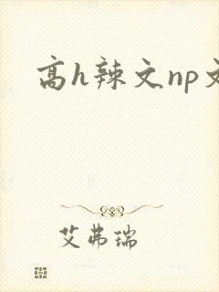 高h辣文np文