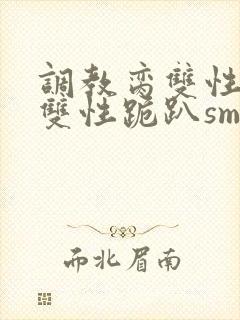 调教脔双性美人双性跪趴sm封面