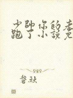 少帅你的老婆又跑了小说免费阅读
