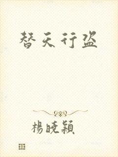 替天行盗