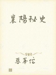 襄阳秘史封面