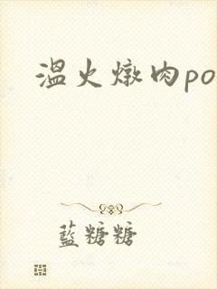 温火炖肉pop