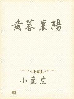 黄蓉襄阳