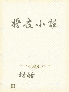 将夜小说封面