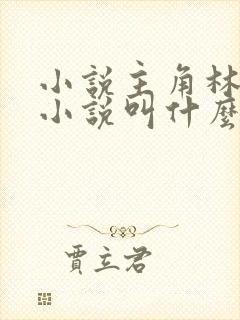 小说主角林辰的小说叫什么