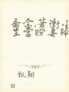乔念,萧衡小说生当盼妻归封面