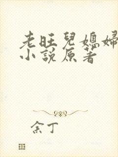 老旺儿媳妇秦雨小说原著
