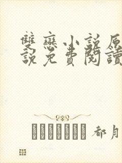 双恋小说原著小说免费阅读