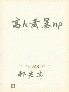 高h黄暴np