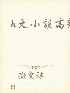 h文小说高辣文