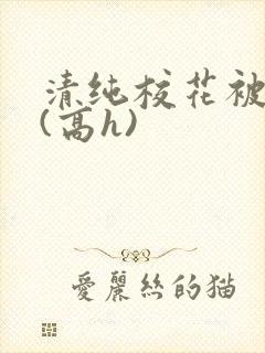 清纯校花被调教(高h)