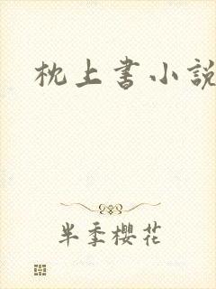 枕上书小说
