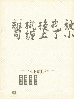 离职后我被前上司缠上了小说txt