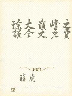 徐大巅峰之路小说全文免费阅读