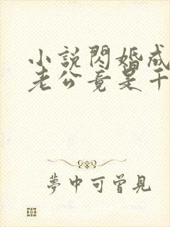 小说闪婚成宠,老公竟是千亿大佬