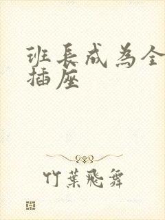 班长成为全班的插座封面