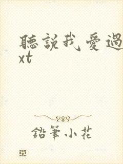 听说我爱过你txt封面