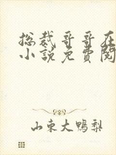 总裁哥哥在上的小说免费阅读无弹窗
