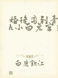 婚后脔到青梅哭h小白兔宫交h