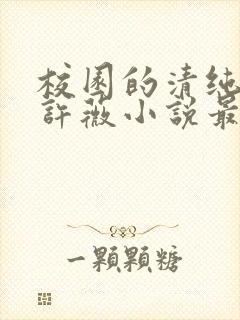 校园的清纯校花许薇小说最新章节列