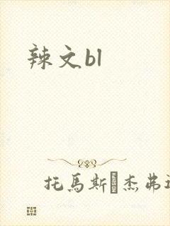 辣文bl