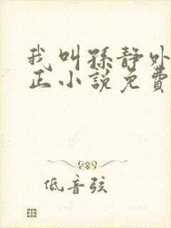 我叫孙静外甥小正小说免费阅读