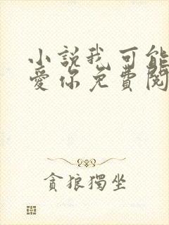 小说我可能不会爱你免费阅读