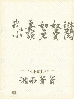 我妻如奴琳原文小说免费阅读