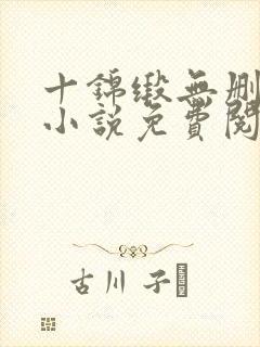十锦缎无删原著小说免费阅读