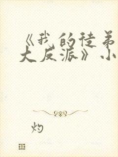 《我的徒弟都是大反派》小说