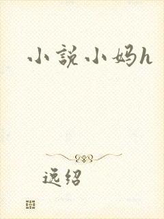 小说小妈h