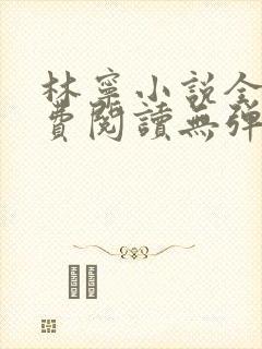 林宁小说全文免费阅读无弹窗