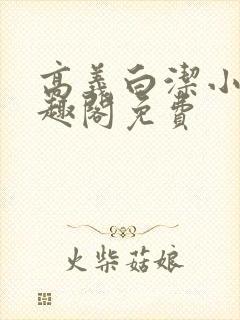 高义白洁小说笔趣阁免费