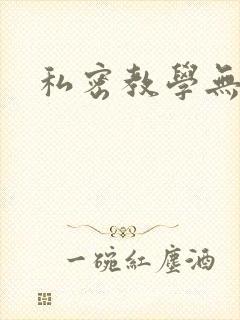 私密教学无删减封面