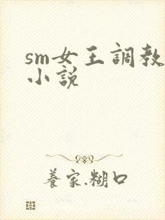 sm女王调教的小说