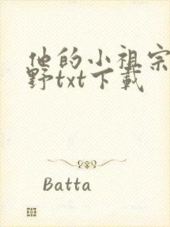 他的小祖宗甜又野txt下载封面