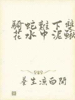 骑蛇难下双金银花水中泥鳅双男主