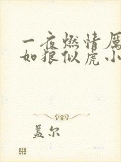 一夜燃情厉先生如狼似虎小说免费阅读