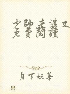 少帅老婆又跑了免费阅读