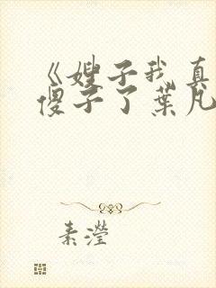 《嫂子我真不是傻子了叶凡》
