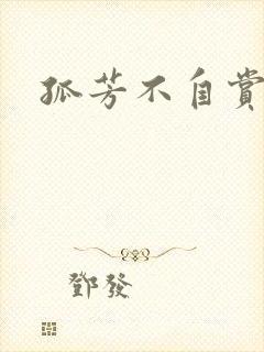 孤芳不自赏小说