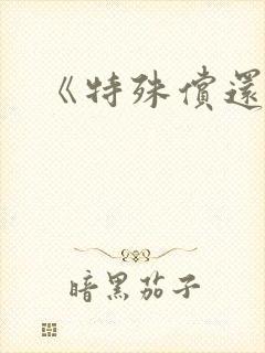 《特殊偿还》