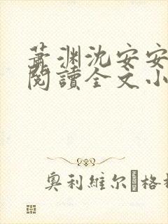 萧渊沈安安免费阅读全文小说封面