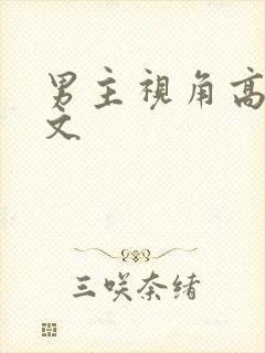 男主视角高辣h文封面