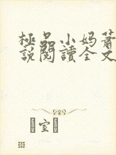 极品小妈萧雅小说阅读全文