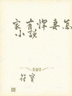 家有悍妻怎么破 小说