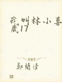 我叫林小喜今年岁17