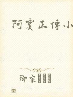 阿宾正传小说