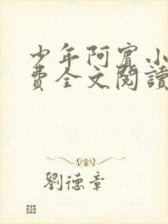 少年阿宾小说免费全文阅读无删减