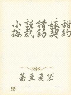 小说错嫁甜婚,总裁的契约妻免费阅读